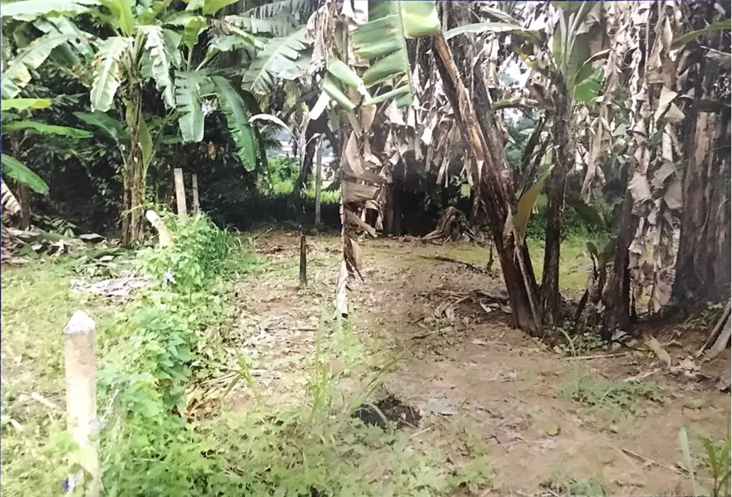 Wilkumbura Land Plot, Eriyagama