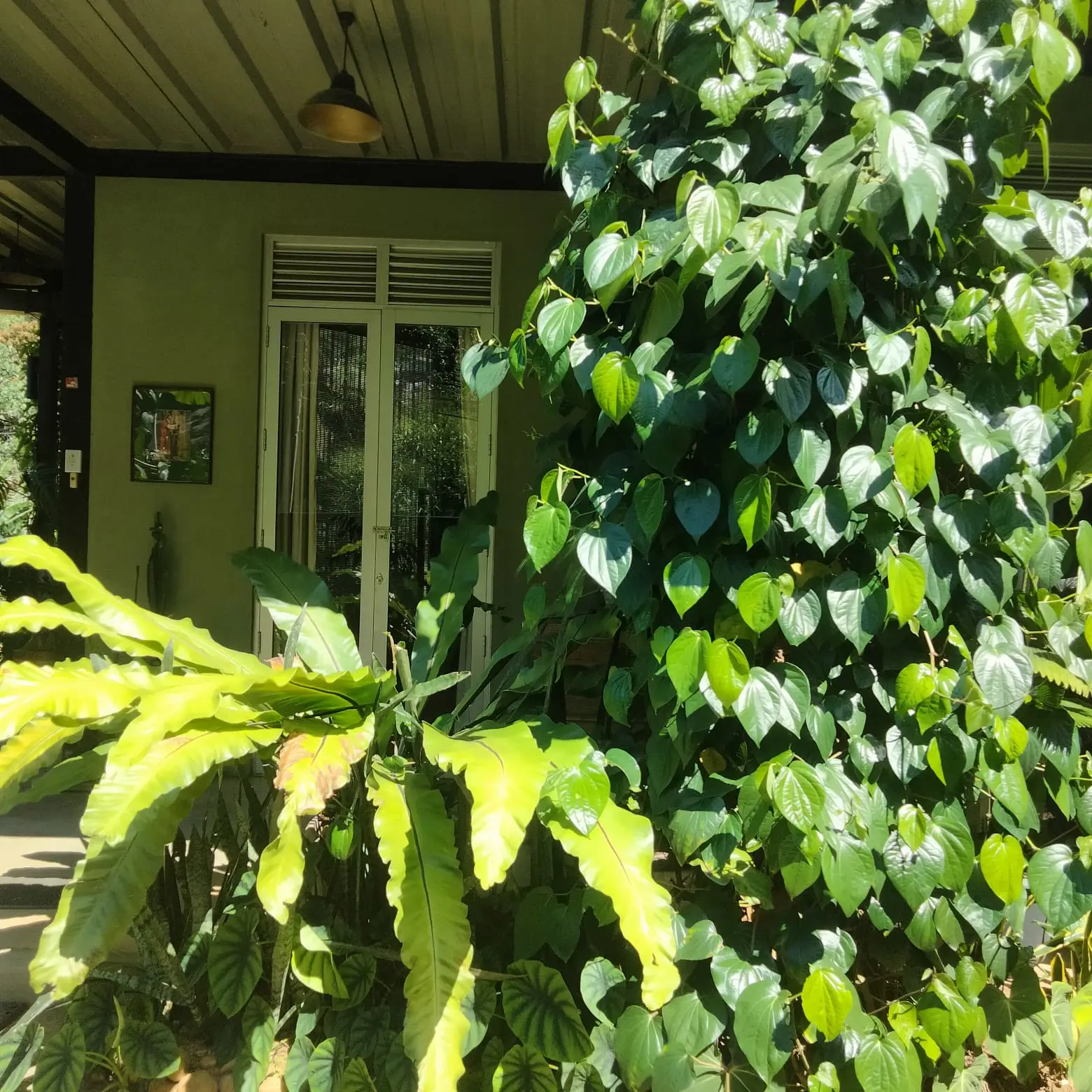 5 Bedroom House - Aniwatte - Image 2