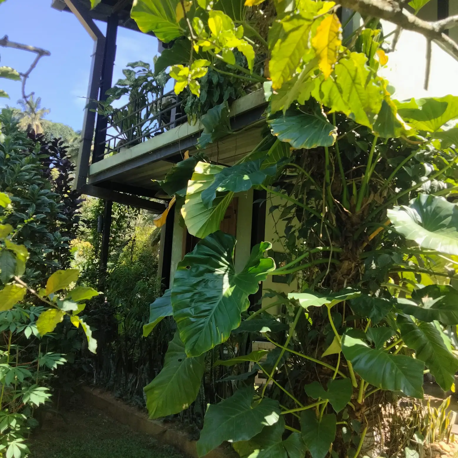 5 Bedroom House - Aniwatte - Image 15